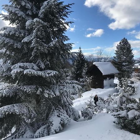 Haus Grimmingblick Zlem Exterior foto