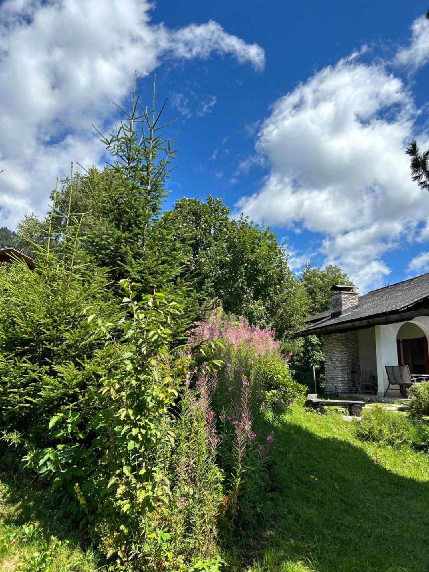 Haus Grimmingblick Zlem Exterior foto